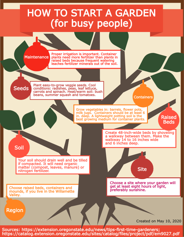 Infographic about how to garden for beginners